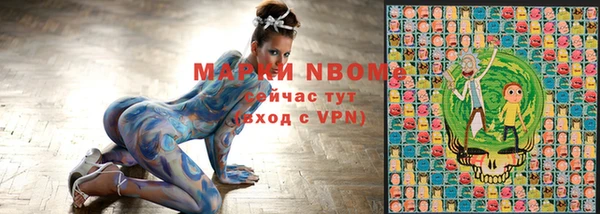 индика Баксан