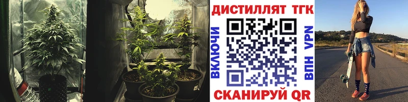 ТГК концентрат цены Ревда